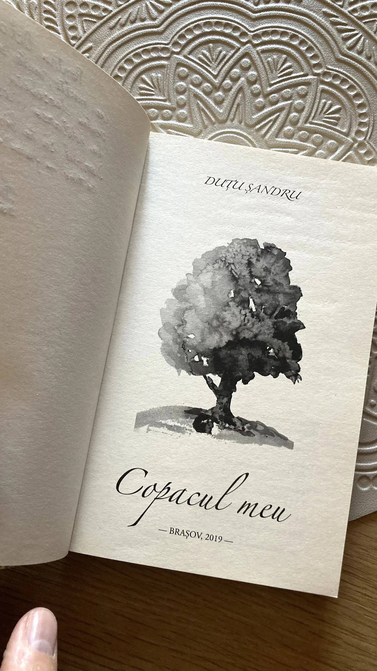 Copacul meu – fotografie 4